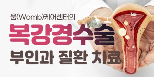 인천 복강경수술, 다양한 ..