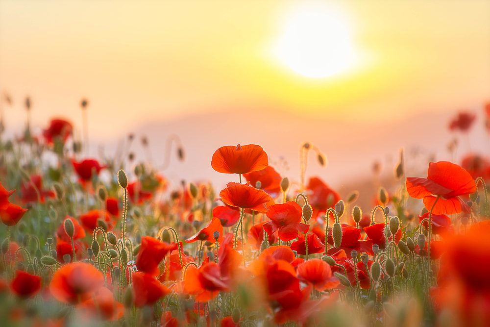 W여성병원 최자은 원장님 ...