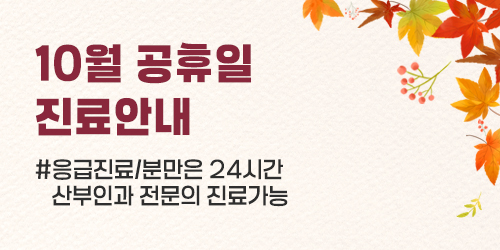 10월 공휴일 진료안내(개천..