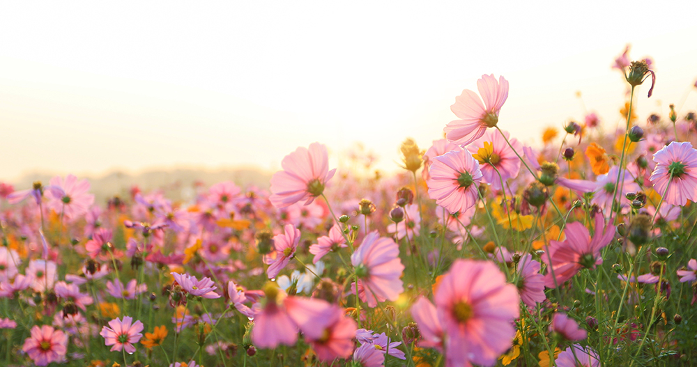 산후조리원 신생아실 선생..